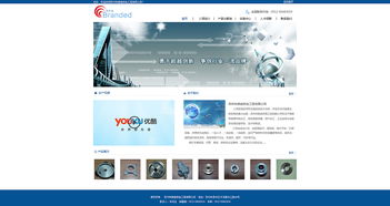 企業(yè)網(wǎng)站