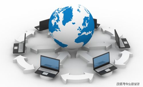 關于文網文,你了解多少