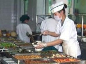 攜手金飯碗，共贏新“食”代 廣州團膳配送與食堂承包服務的品質之選